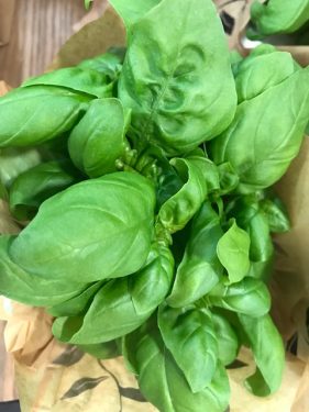 Bursting fresh basil! 