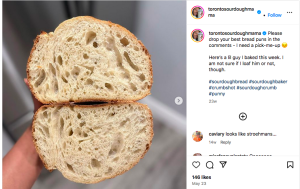 Screenshot of a sourdough pun.